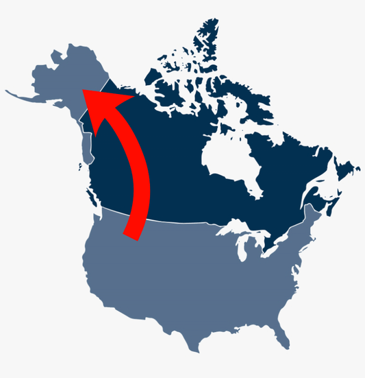 Navigating In-Transit Shipments: Your Guide to Seamless Cross-Border Trade through Canada and the United States