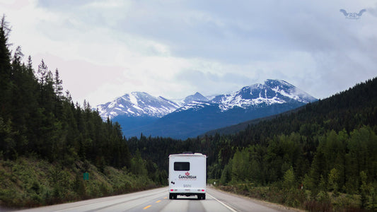White truck on a road near trees