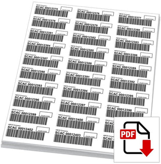 PAPS Barcode Labels (Digital Download)