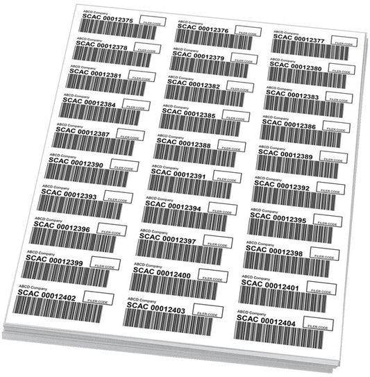 BorderPrint | A Comprehensive Guide to PARS and PAPS Labels